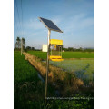 Solar Insecticidal Lights / Solar Insecticidal Lamp for Farm